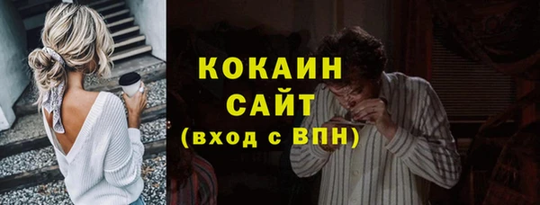 твердый Алексин