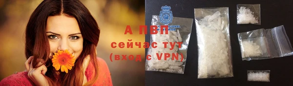 твердый Алексин