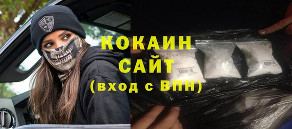 твердый Алексин