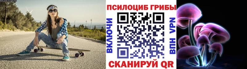 Псилоцибиновые грибы Psilocybine cubensis  Чаплыгин 